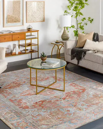 Amani washable area rug - Area Rugs