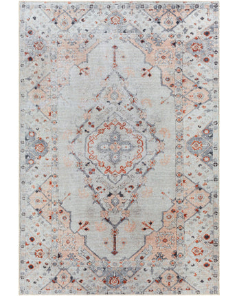 Clementine washable area rug - Light Gray / Rectangle / 2x3