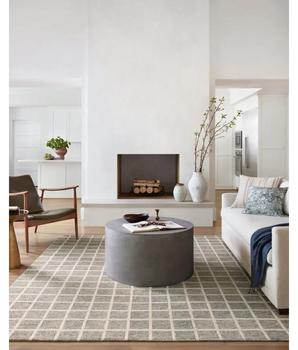 Contemporary polly rug - Area Rugs