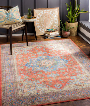 Isra washable area rug - Area Rugs