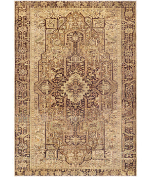 Lucien washable area rug - Brown / Rectangle / 2x3 - Area