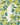 Outdoor outdoor botanical longwood rug - Green / 10’