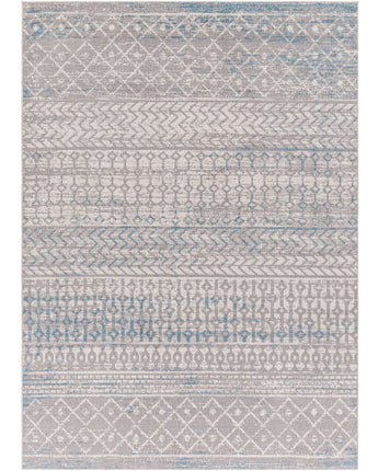 Reem washable area rug - Gray / Light Blue / Rectangle