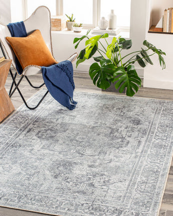 Rue de rivoli washable area rug - Area Rugs