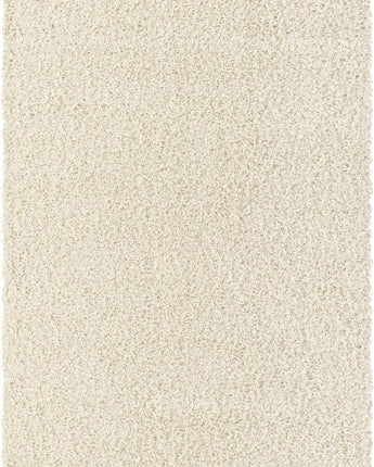 Solid shag area rug - Ivory / Rectangular / 5x8 - Area Rugs