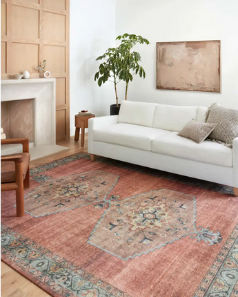 Traditional heidi rug - Area Rugs